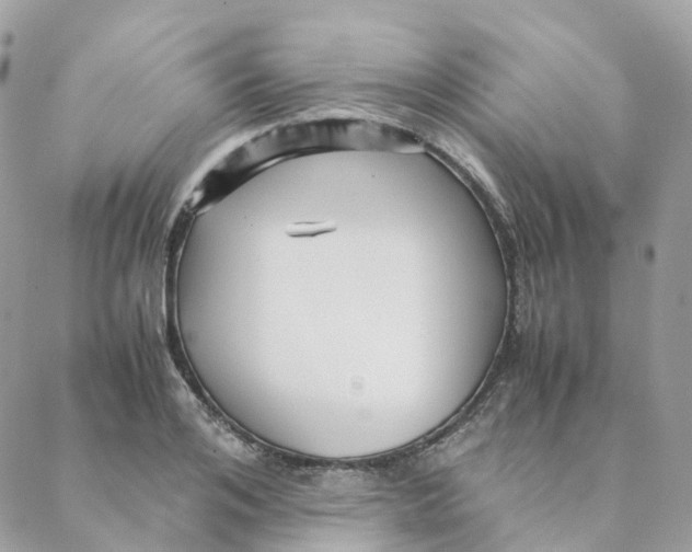 X0000088090984200706011559