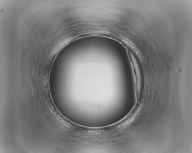 X0000088090985200706011559