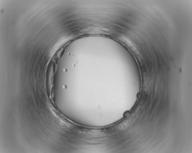 X0000088090986200706011559