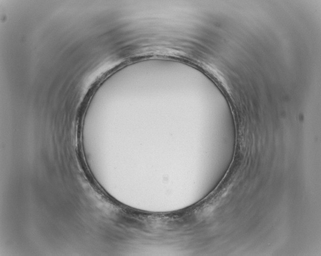 X0000088090987200706011559