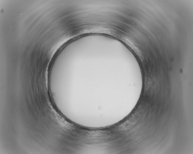 X0000088090988200706011559