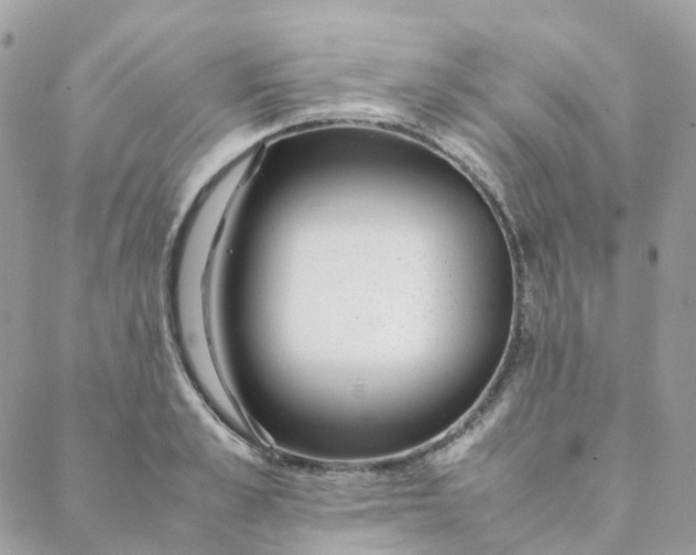 X0000088090989200706011559