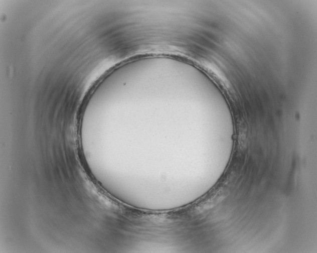 X0000088090990200706011559