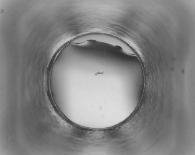 X0000088090991200706011559