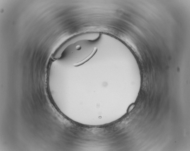 X0000088090992200706011559