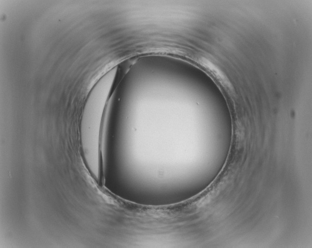 X0000088090993200706011559