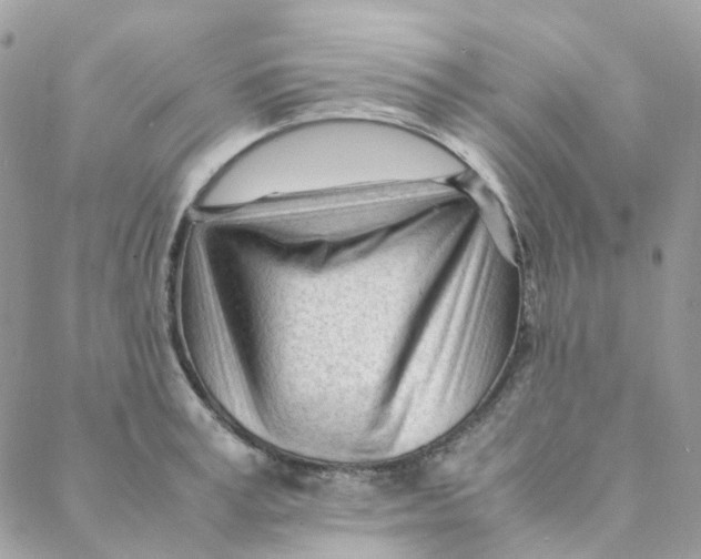 X0000088090995200706011559