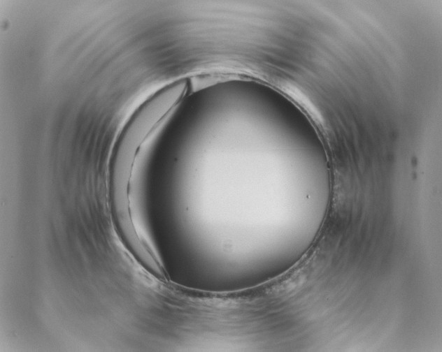 X0000088090996200706011559