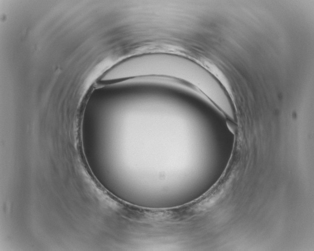 X0000088090997200706011559