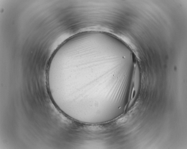 X0000088090998200706011559