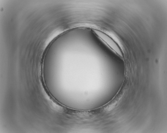 X0000088090999200706011559