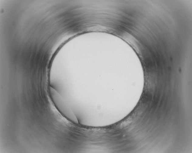 X0000088091000200706011559