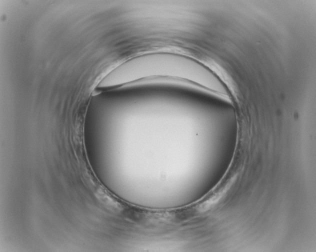 X0000088091001200706011559