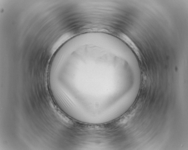 X0000088091002200706011559