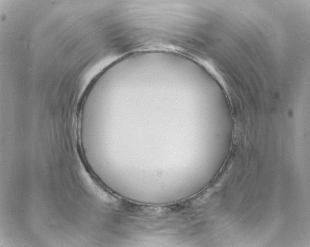 X0000088091003200706011559