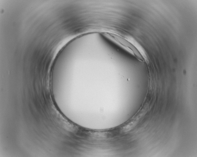 X0000088091004200706011559