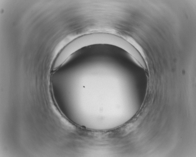 X0000088091005200706011559