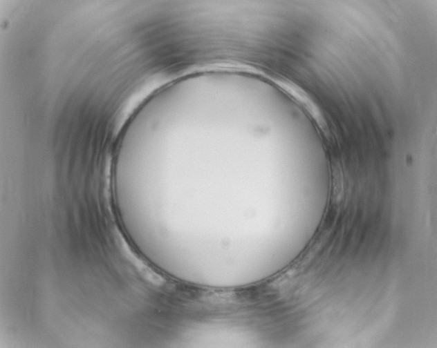 X0000088091006200706011559