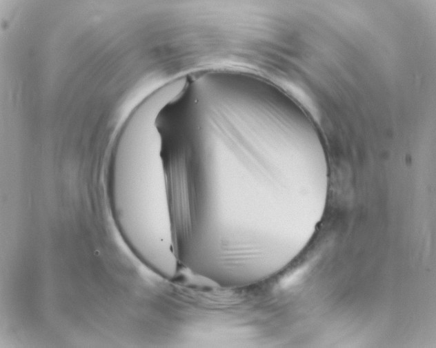 X0000088091007200706011559