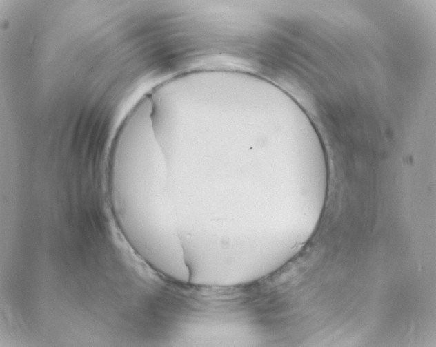 X0000088091008200706011559