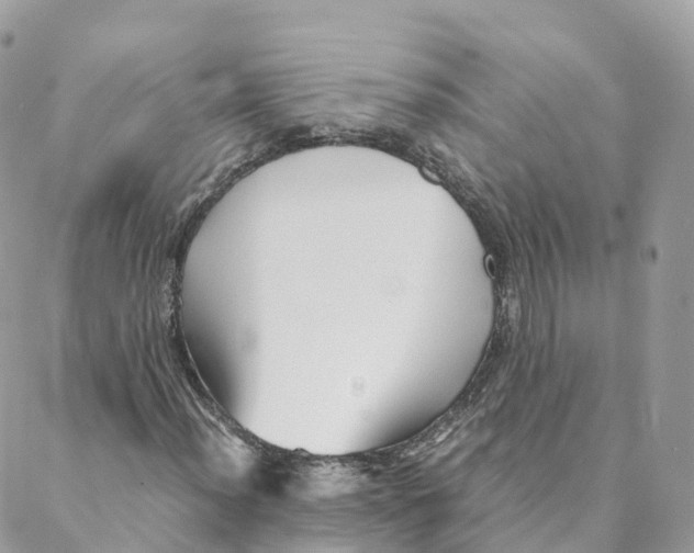 X0000088091012200706011558