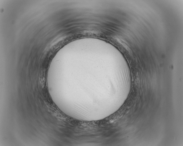 X0000088091015200706011558