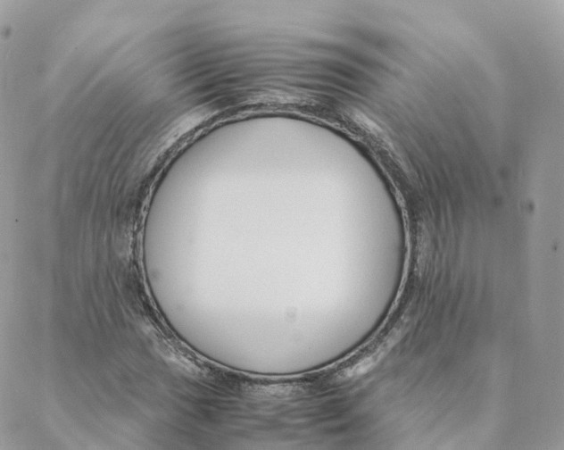 X0000088091017200706011558