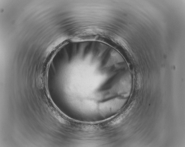 X0000088091018200706011558