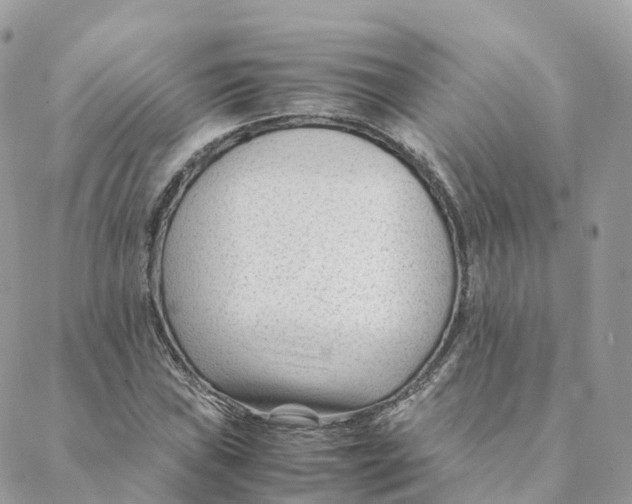 X0000088091019200706011558