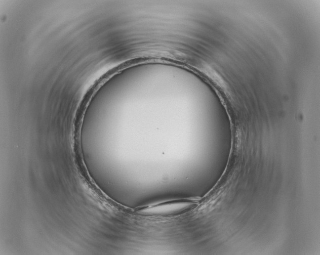 X0000088091020200706011558