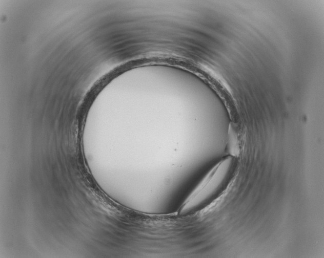 X0000088091021200706011558