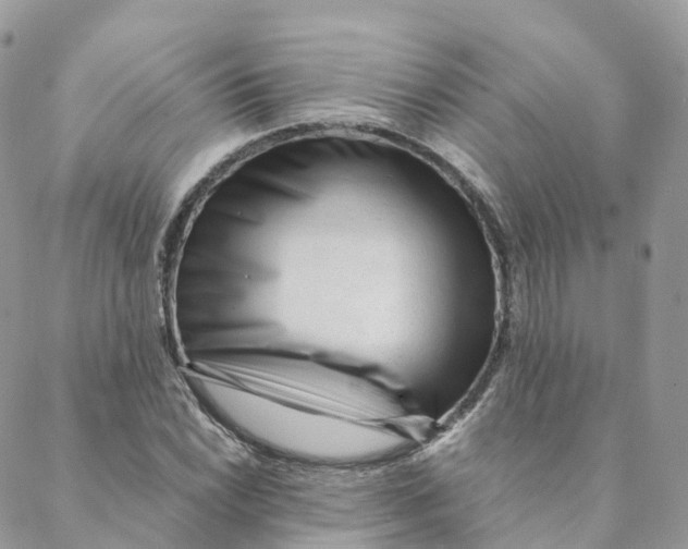 X0000088091022200706011558