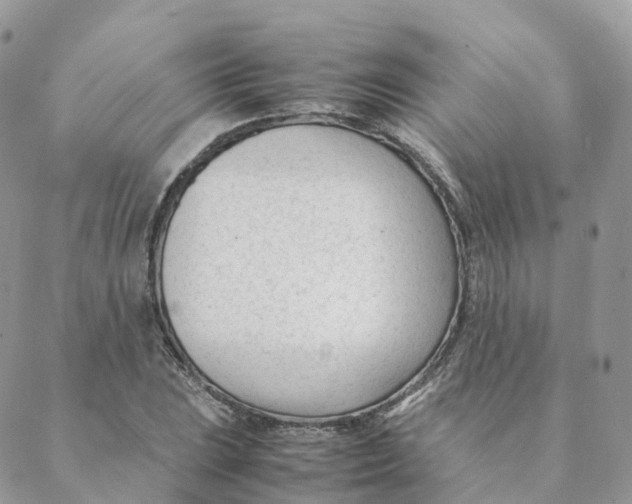 X0000088091023200706011558