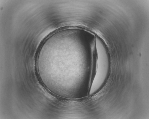 X0000088091024200706011558