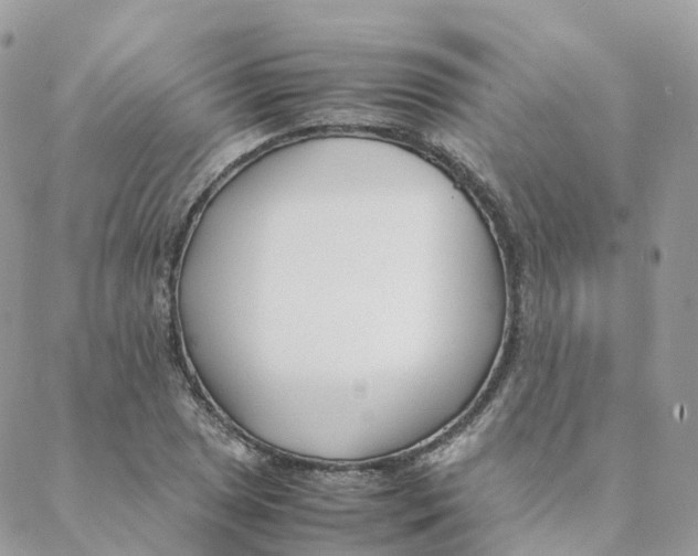 X0000088091025200706011558