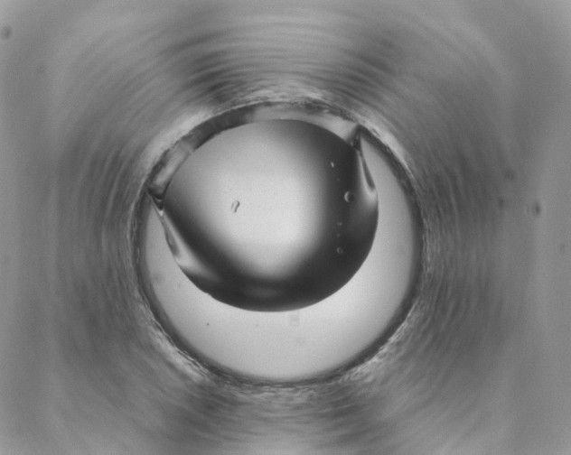 X0000088091026200706011558