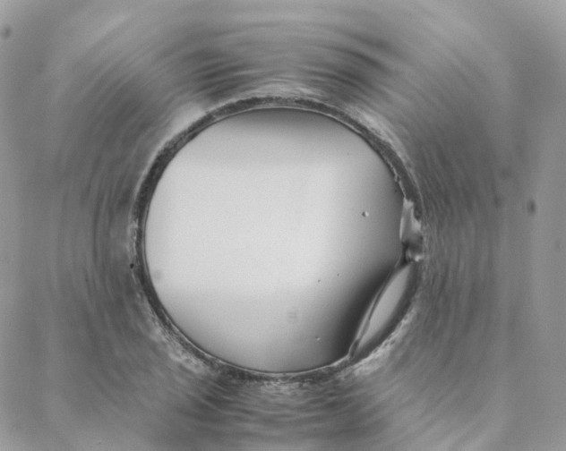 X0000088091029200706011558