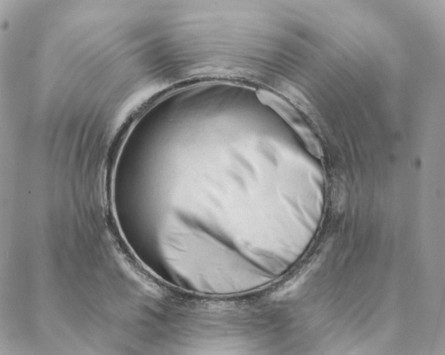 X0000088091030200706011558