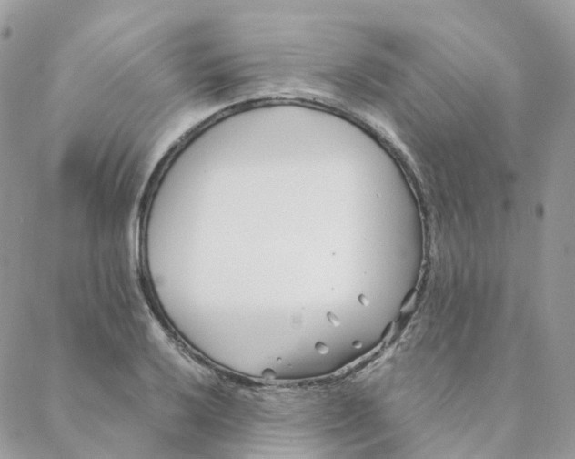 X0000088091032200706011558