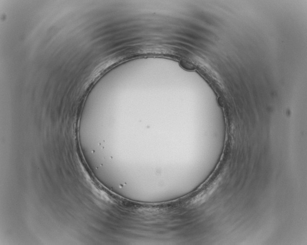 X0000088091033200706011558