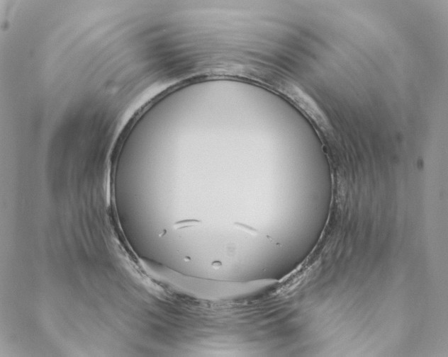 X0000088091036200706011558