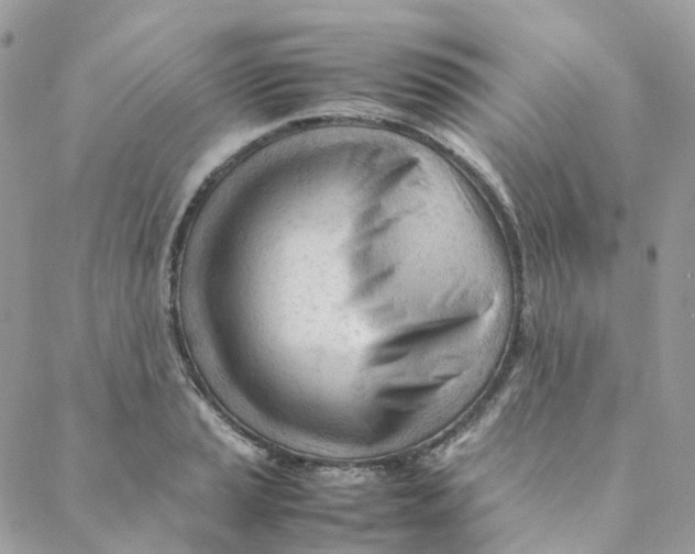 X0000088091037200706011558