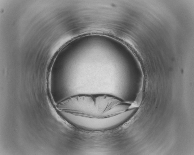 X0000088091038200706011558