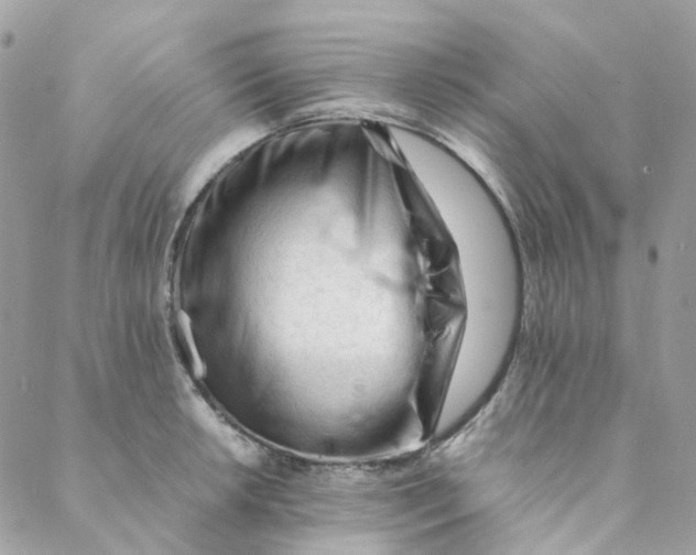 X0000088091042200706011558