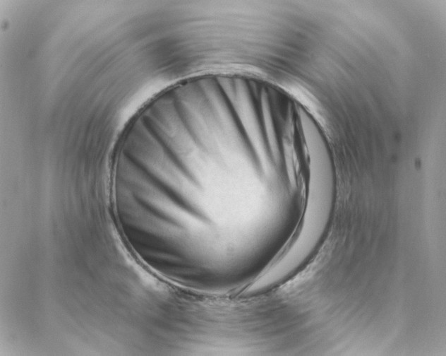 X0000088091046200706011559