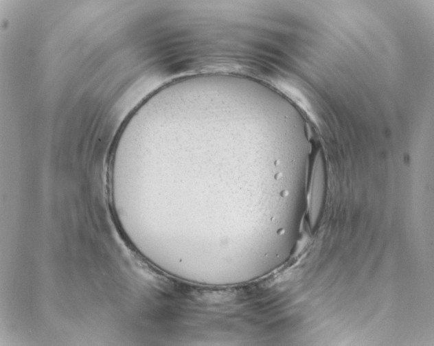 X0000088091047200706011559