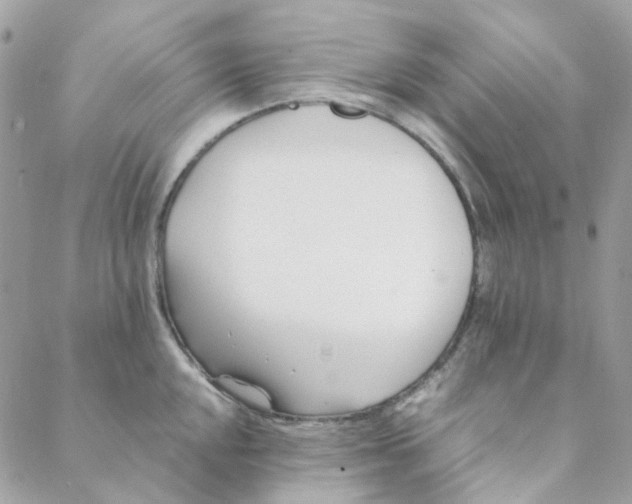 X0000088091048200706011559