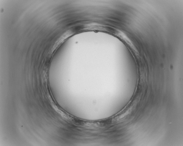 X0000088091049200706011559