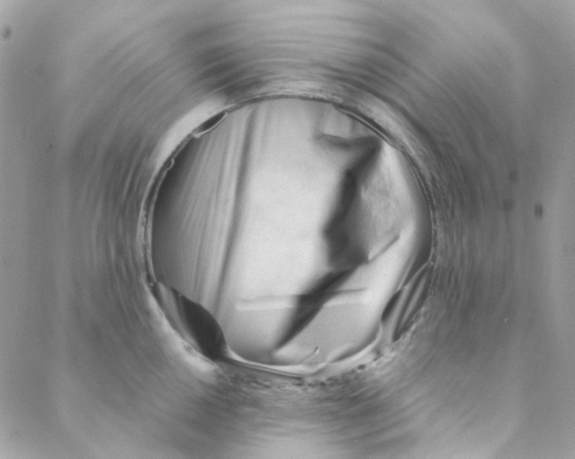 X0000088091050200706011559