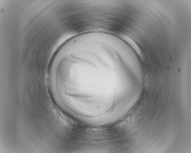 X0000088091051200706011559